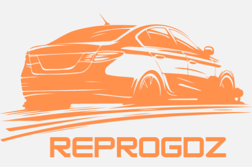 REPROGDZ